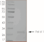 Product Element Image